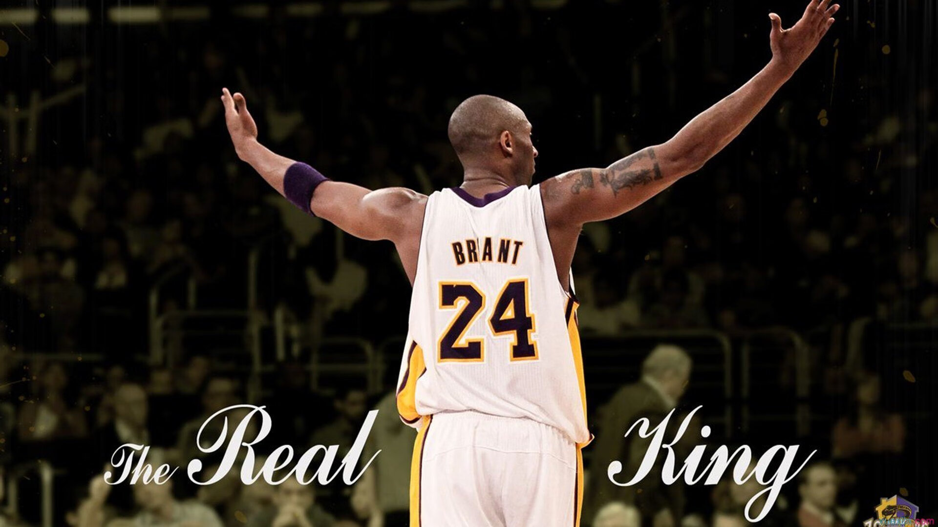 _黄蜂主场逆袭，奋不顾身抗强敌_，黄蜂队比赛视频聚胜顽球汇